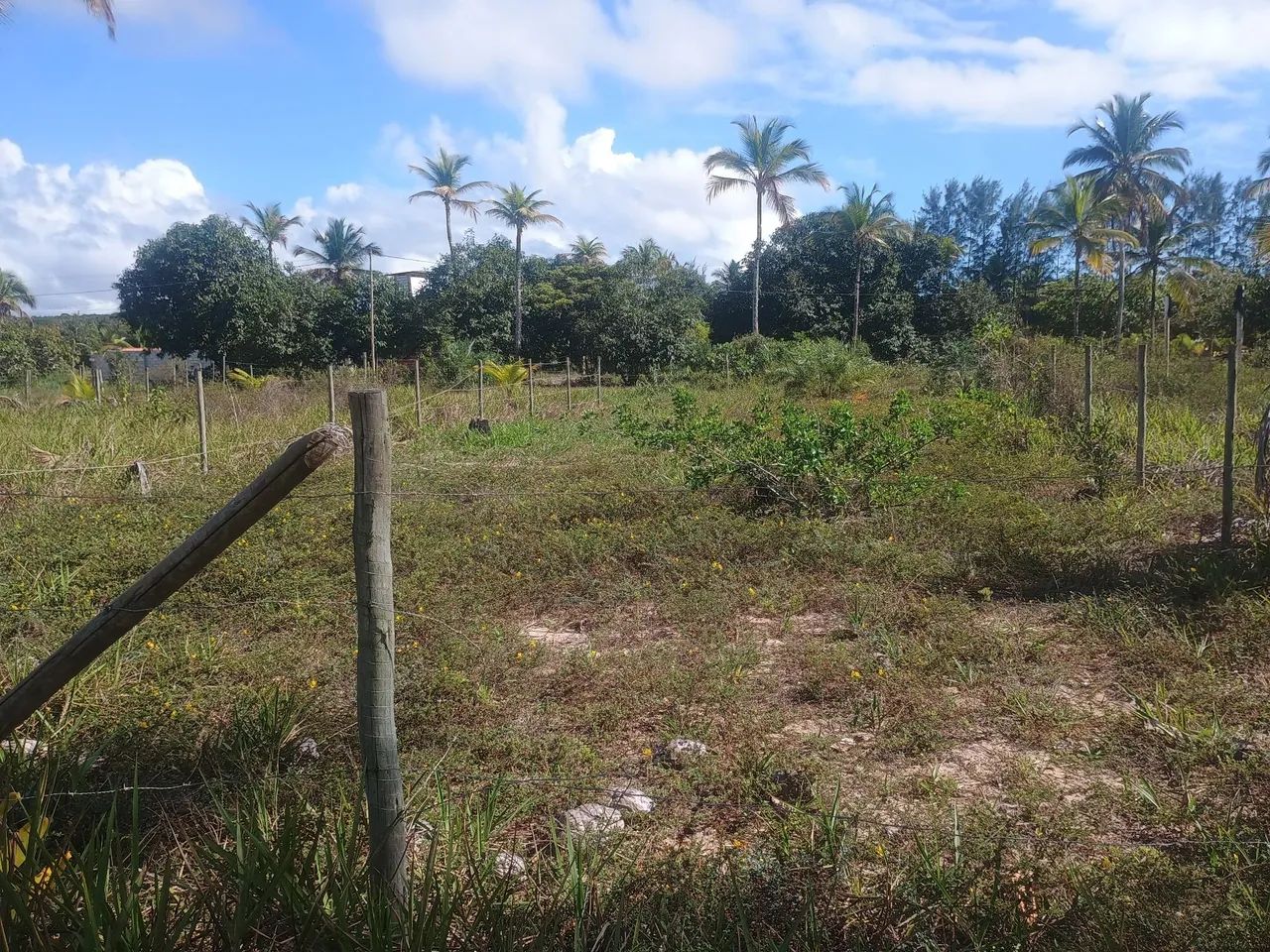 Vendo terreno em canavieiras 