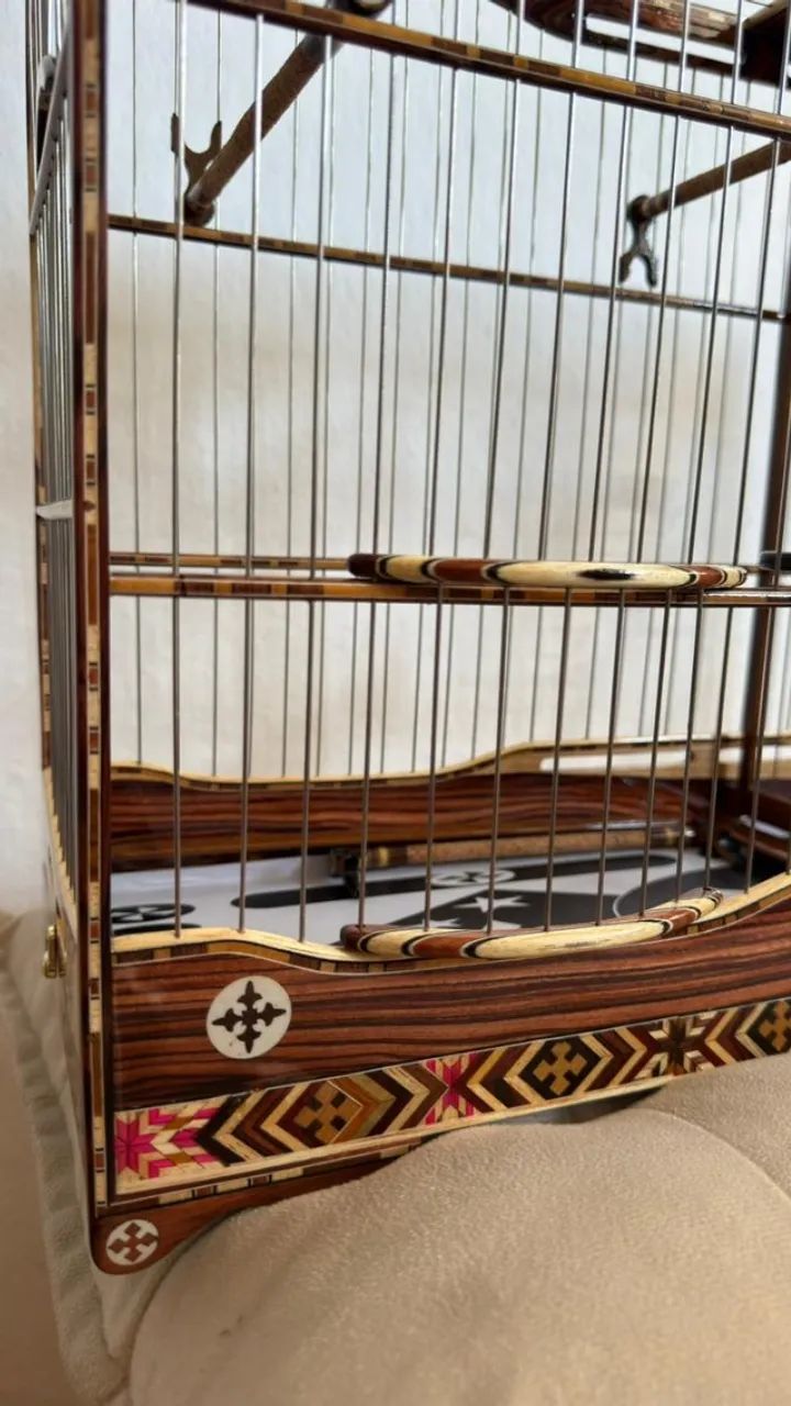 Voador coleiro SUPER LUXO - Foto 3