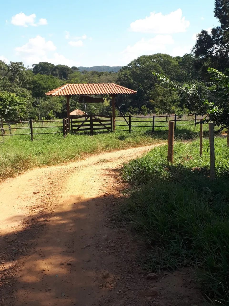 Chácara  Aragoiânia - Foto 3