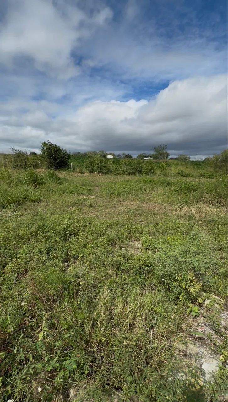 Vendo chão de casa  - Foto 3