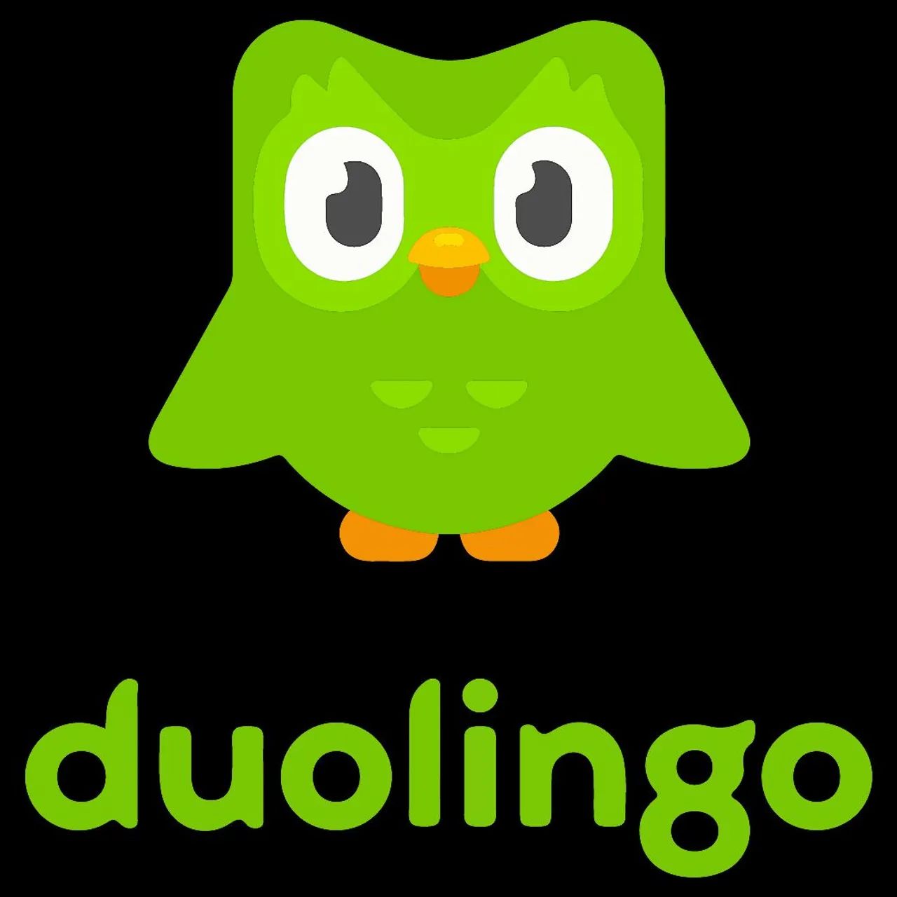 Super Duolingo - 12 Meses