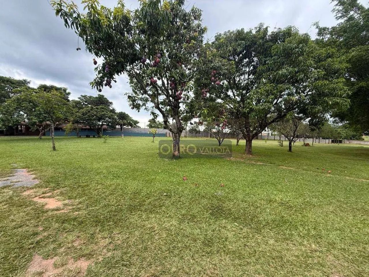 Excelente Chácara Para Venda Em Sorocaba - Foto 4