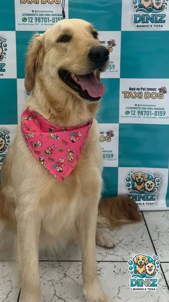 Doação  - Foto 2