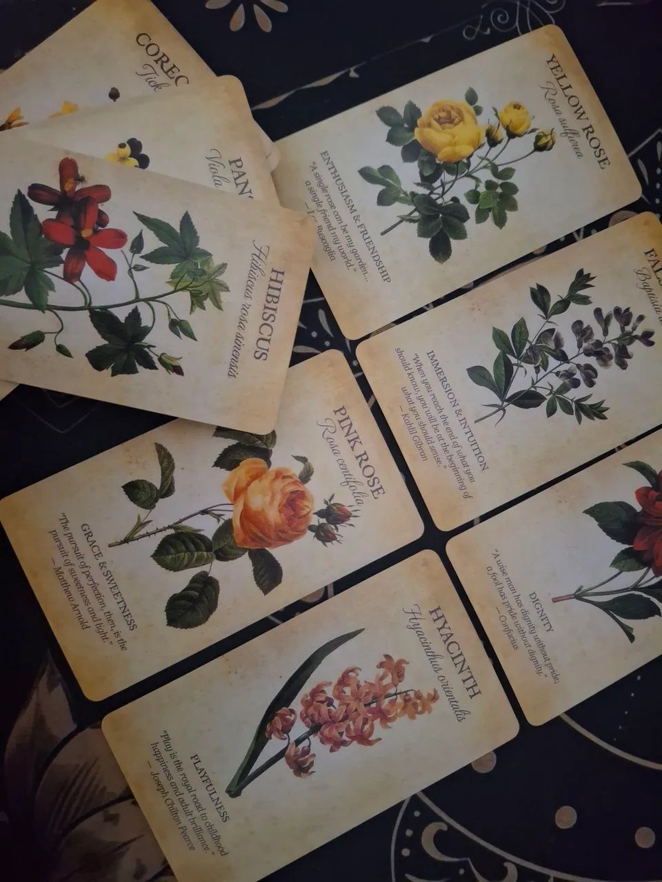 Oráculo Botanical Inspirations Baralho Cigano Tarot Taro - Foto 2