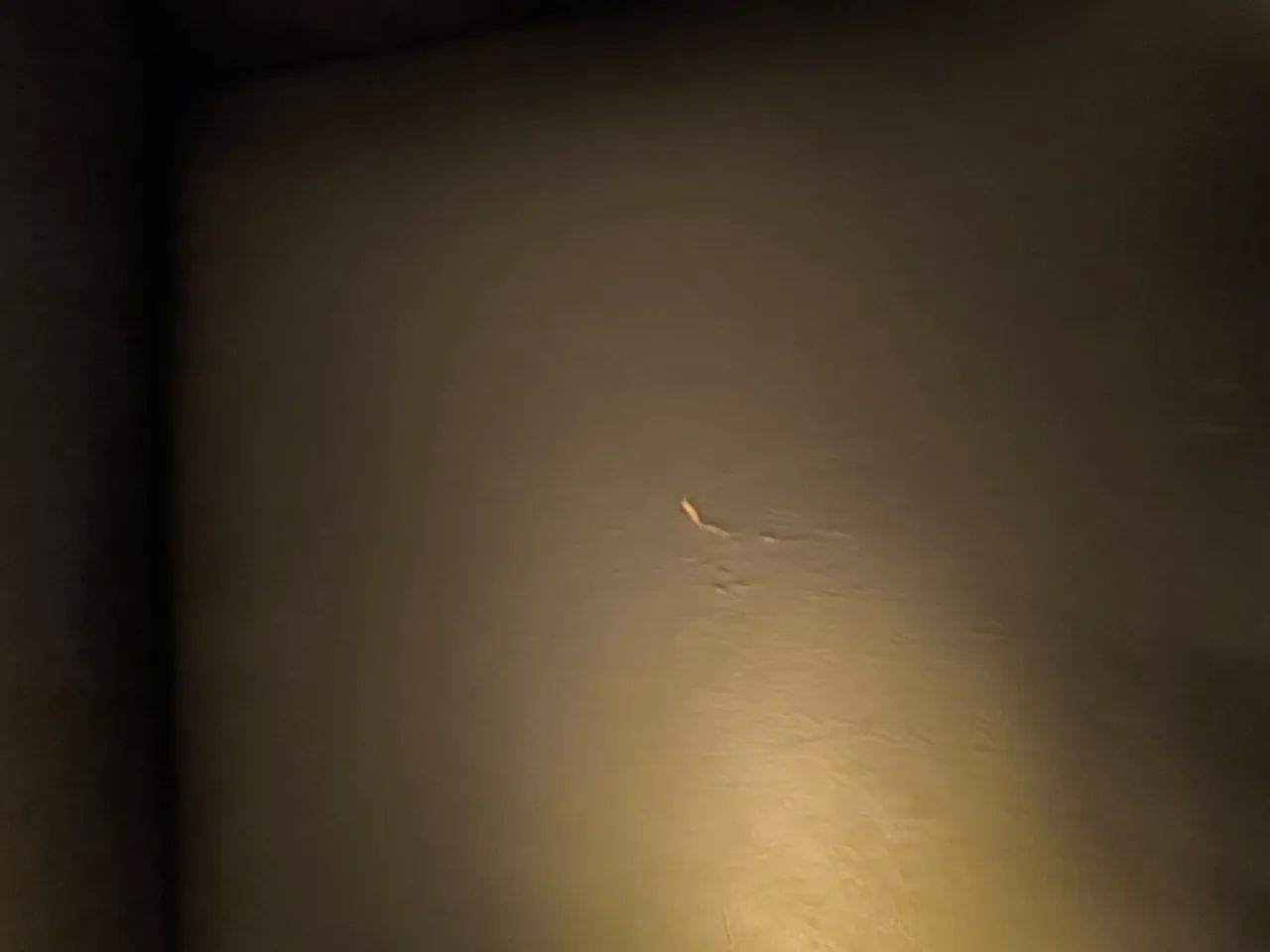 Sofra retrátil 2.3065204307853057124