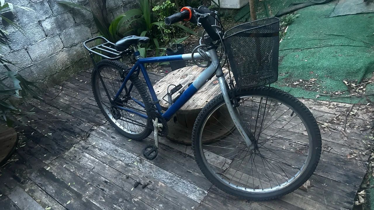 bicicleta com cestinha 