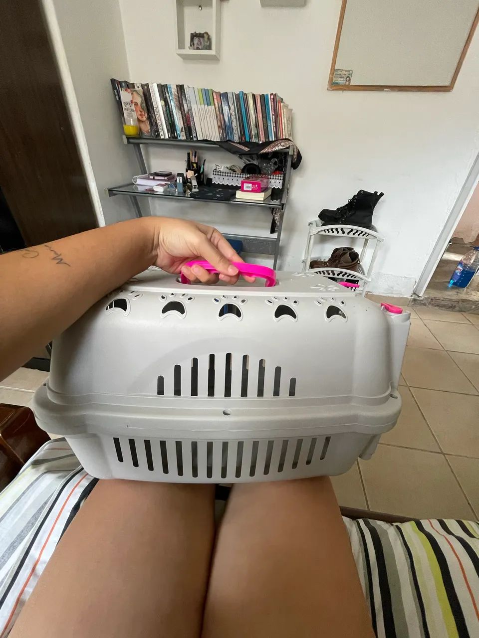 caixa de transporte para gato