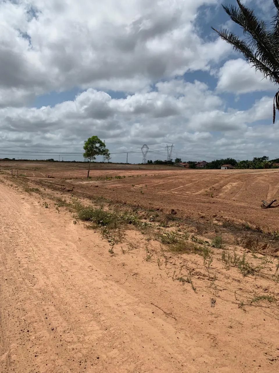 Quadra com 42 lotes - br 135 km 70 