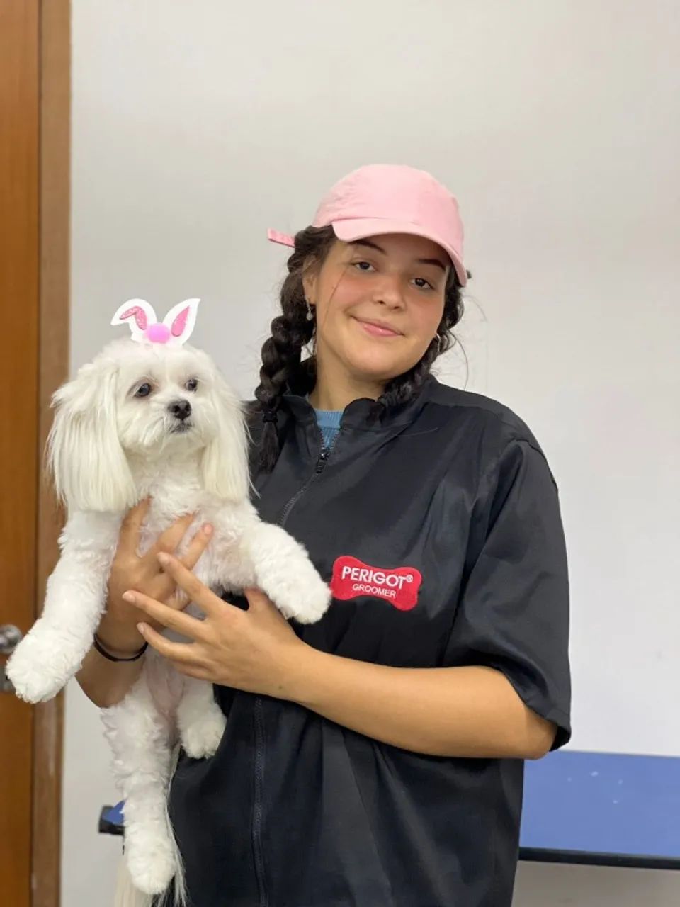 CURSO DE BANHO E TOSA - Foto 2