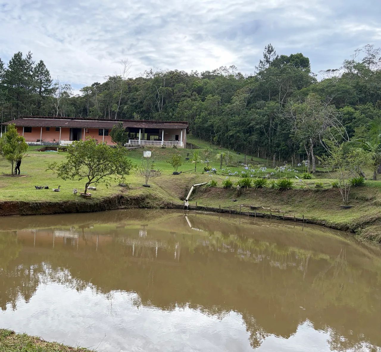 Sítio a venda 350.000 porteira fechada