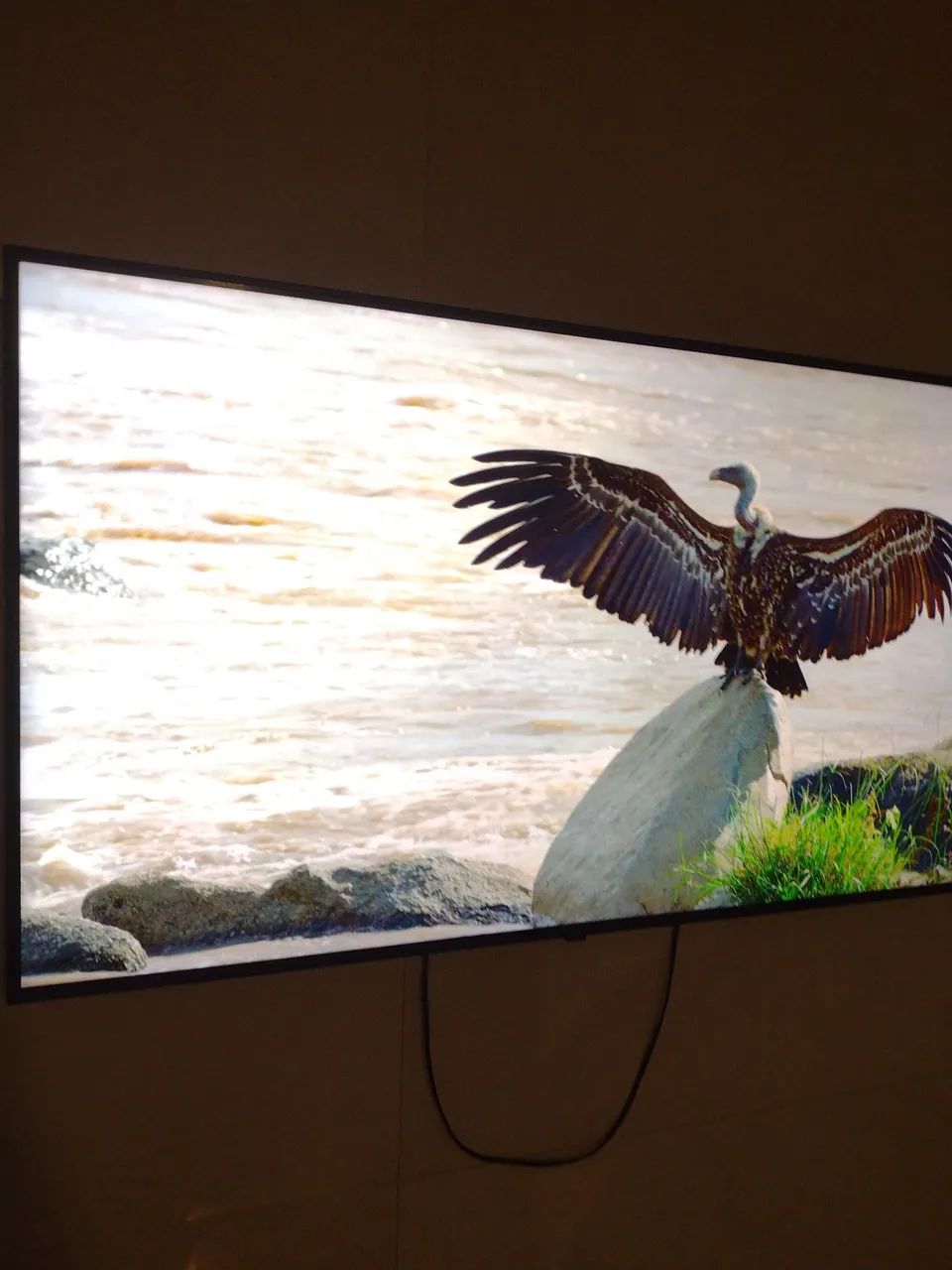 Smartv LG 50 Android 4k  - Foto 3