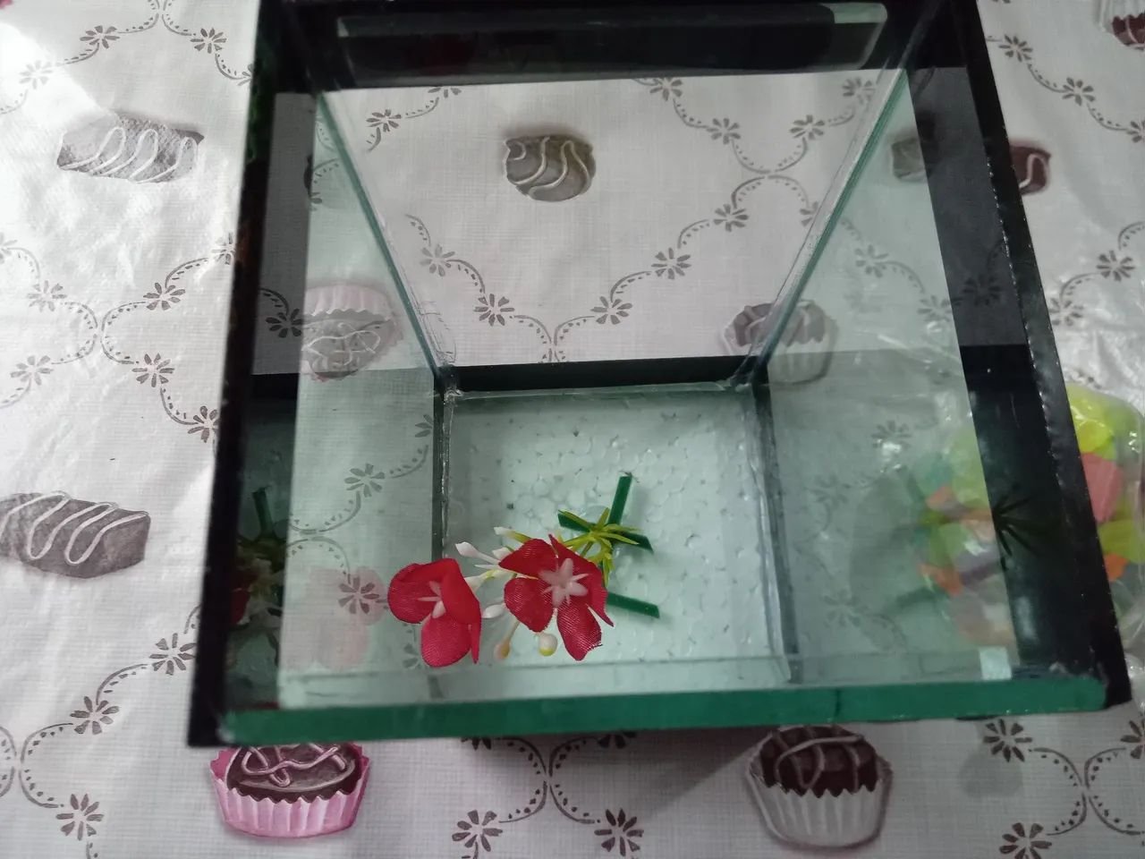 Aquário pequeno - Foto 3