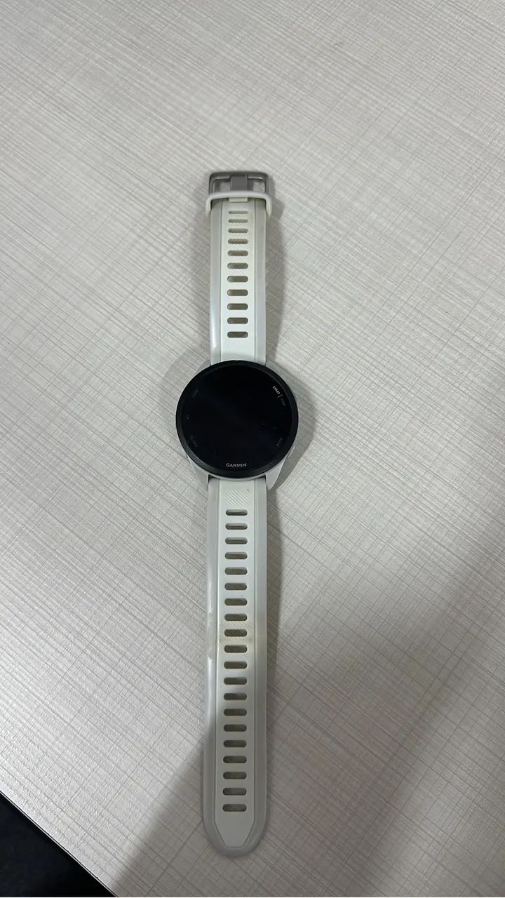 Garmin 165