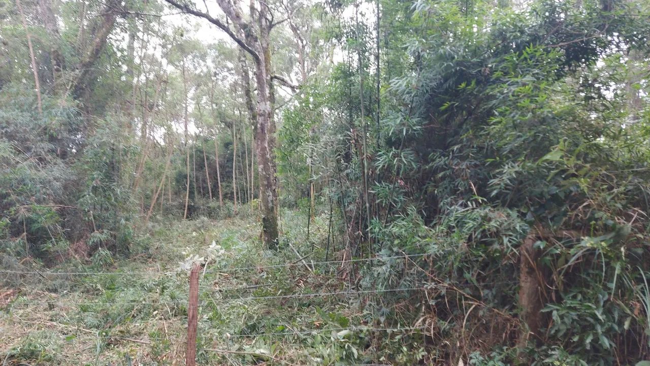 Venda