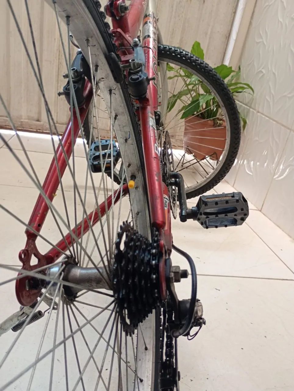 Bicicleta  - Foto 5