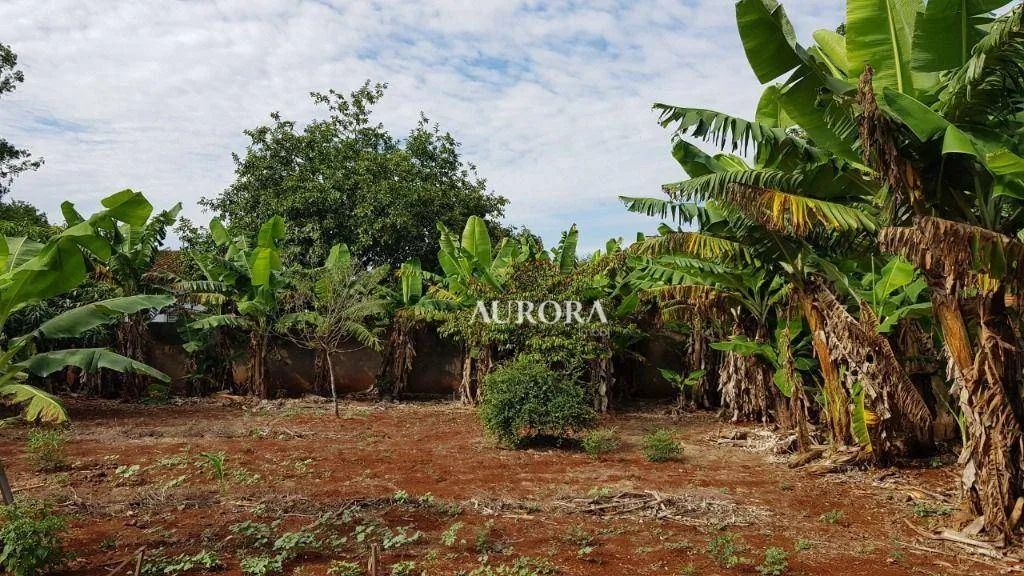 Terreno à venda, 5000 m² por R$ 1.200.000,00 - Conjunto Cafezal 1 - Londrina/PR - Foto 4