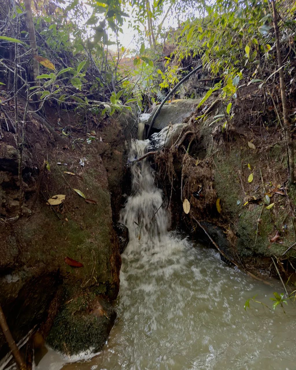 Sítio a apenas 2 km do Centro de Alfredo Wagner - Vista para as Serras - Foto 3