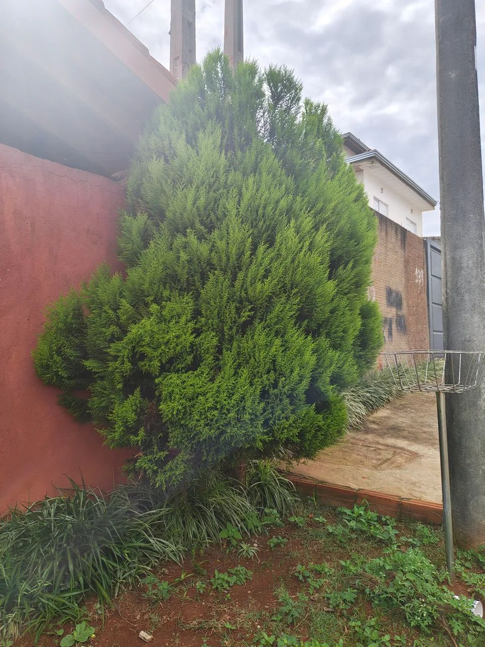 Planta Pinheiros  - Foto 4
