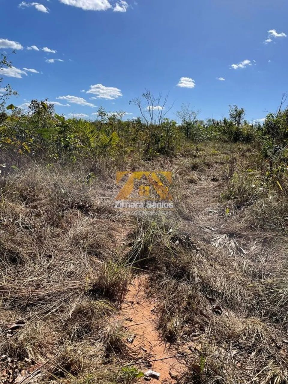 Terreno com 1 Quarto à Venda, Setor Central - Centenário - Foto 7