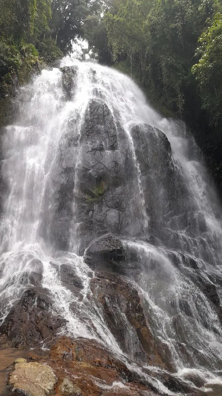 Vendo sítio em águas mornas  - Foto 4