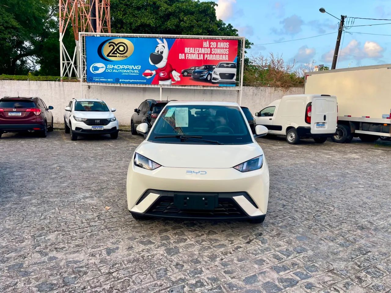 BYD Dolphin Mini GL 2027 - Foto 3
