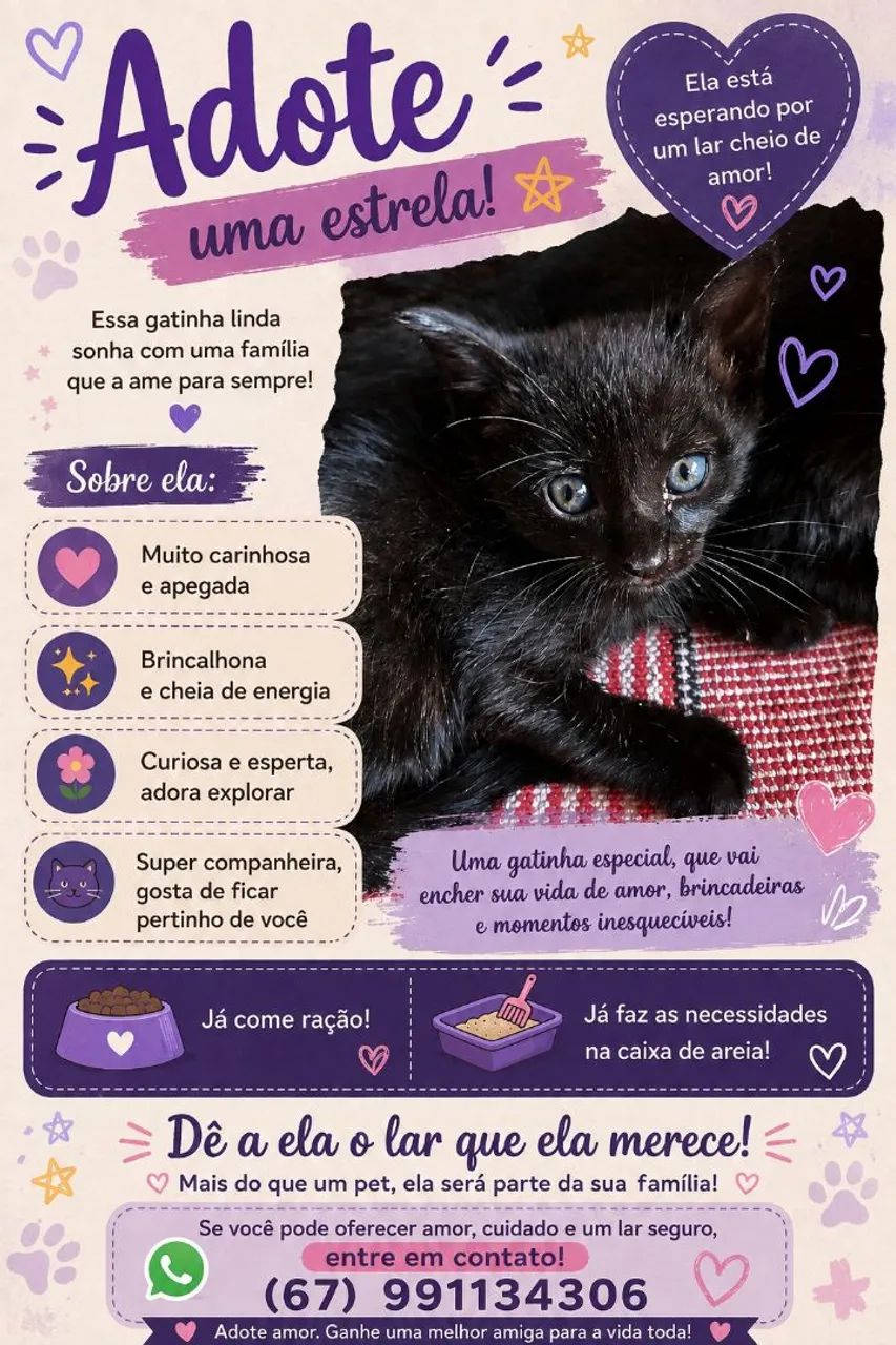 Adoção responsável  - Foto 3