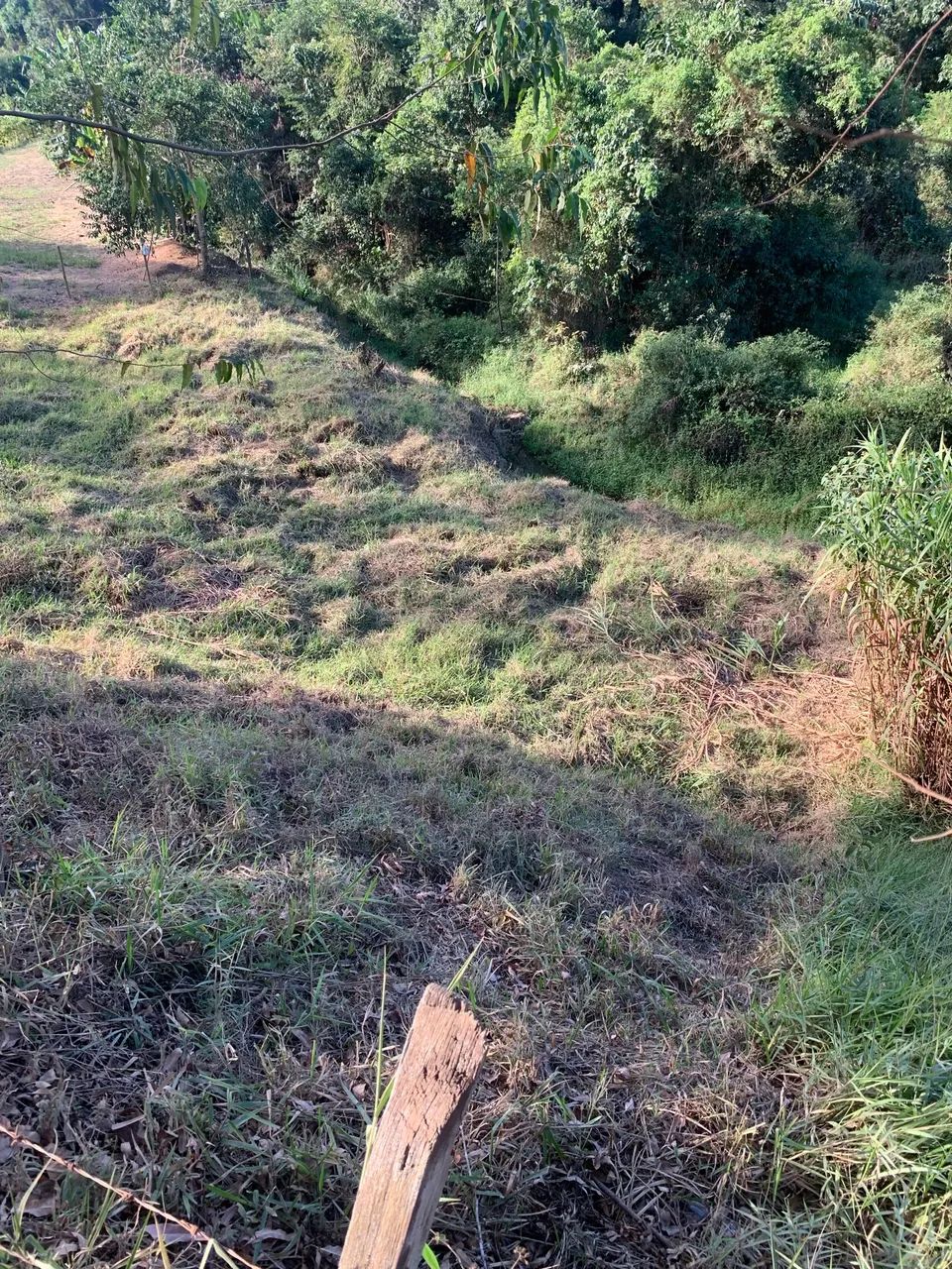 Lote em Alto Paraju - Foto 3