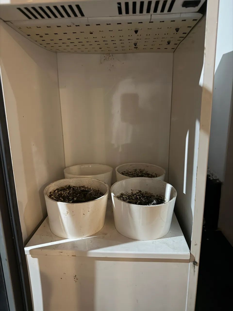 Plantario com iluminação automática  - Foto 3