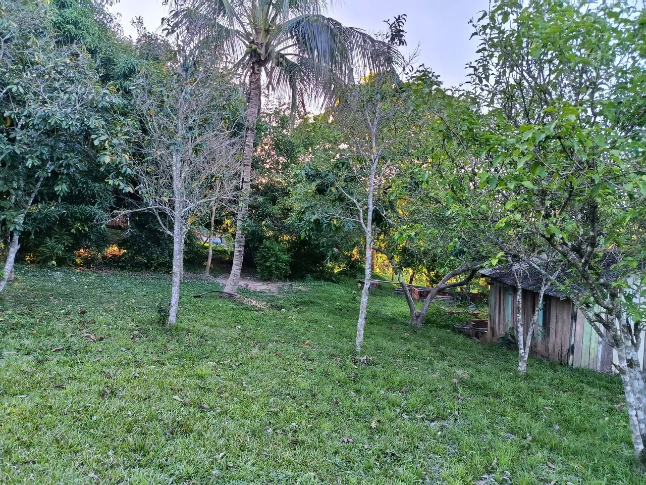 Chácara dentro da cidade vendo  - Foto 5