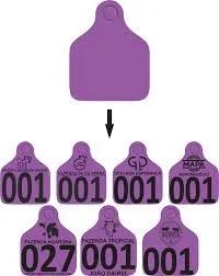 Brinco Bovino de Identificação Personalizado - Foto 5