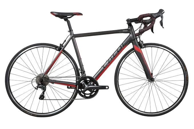 Bicicleta speed 