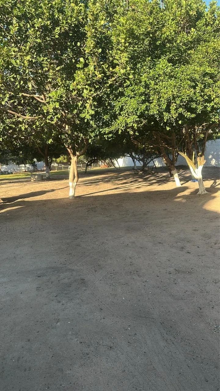 Chácara em Macaíba  - Foto 4