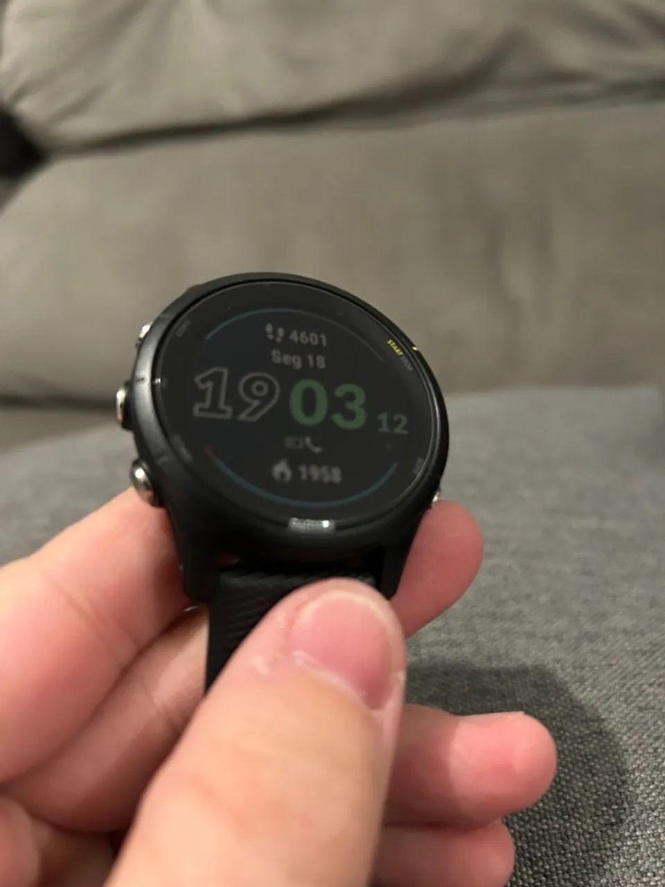 Garmin Forerunner 255 Music - Acessórios - Jardim Carvalho, Bauru