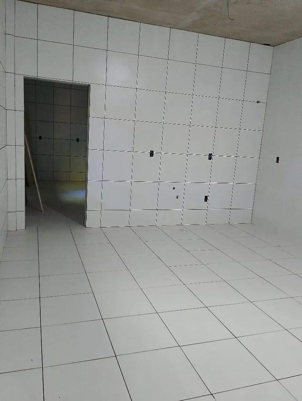 Azulejista  - Foto 4