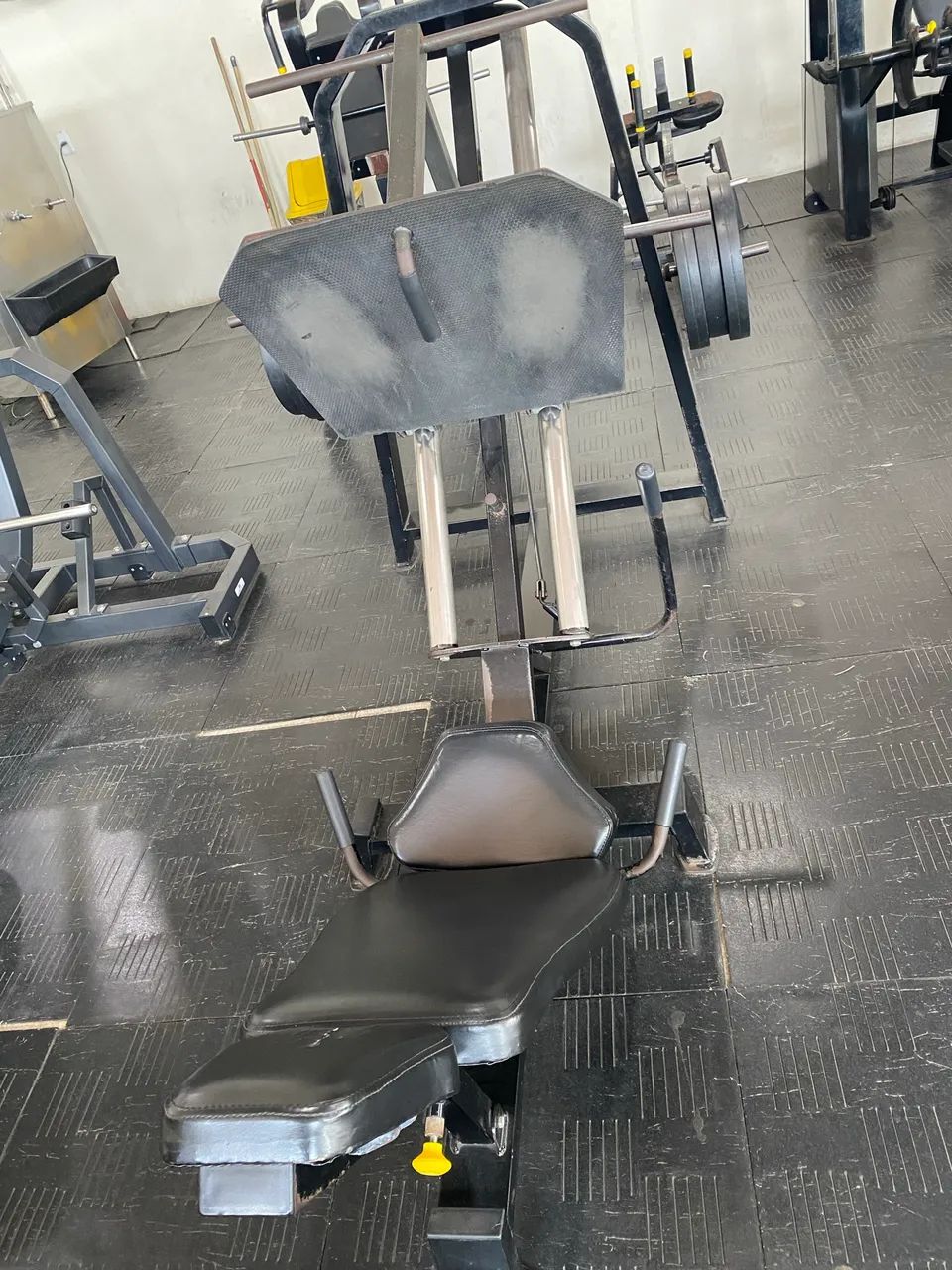 Leg 45 