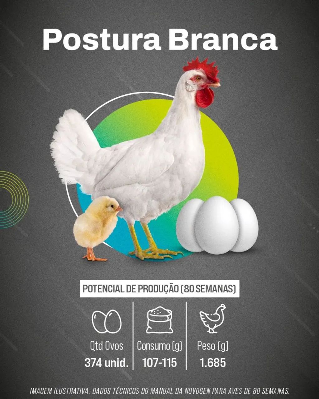 Pintinhas novogem