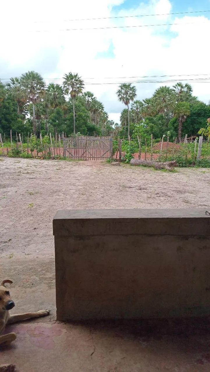 Terreno fazenda  - Foto 9