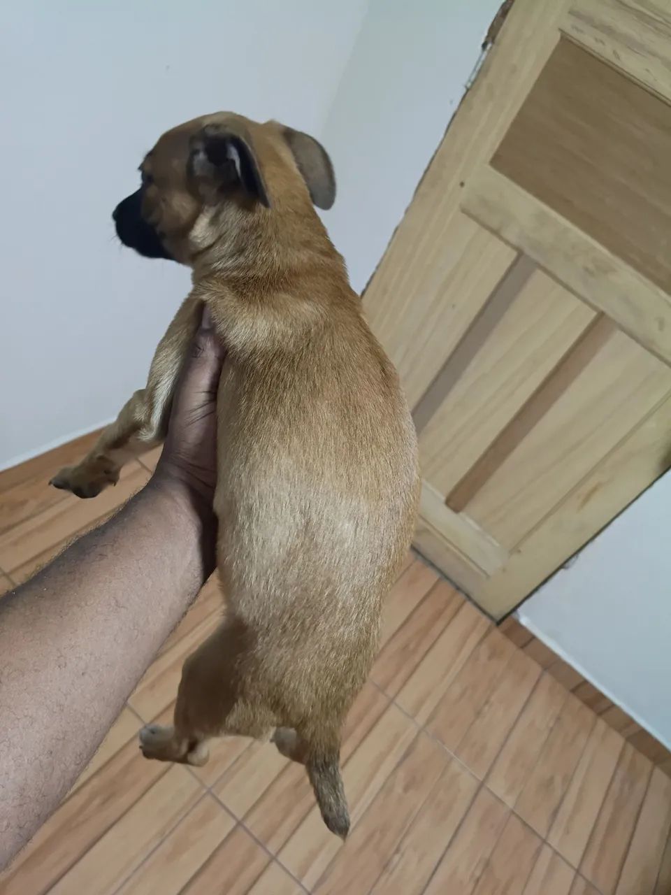 Doação  - Foto 5