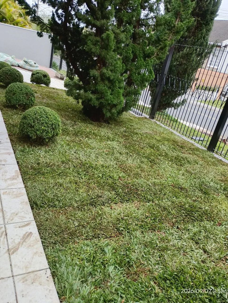 Plantio de grama  - Foto 3
