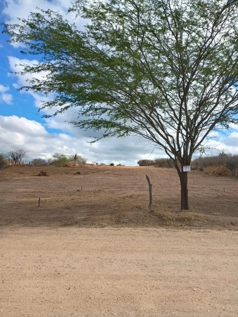 Terreno de 10m X 30m - Foto 2