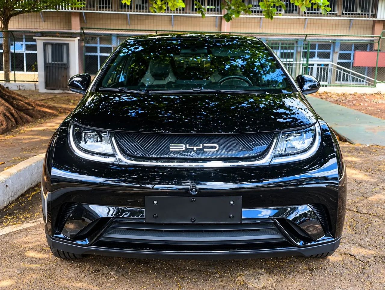 BYD Dolphin EV (Elétrico) 2024 - Foto 2