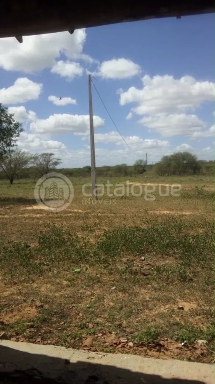 Fazenda em Afonso Bezerras 562 Ha - Foto 3
