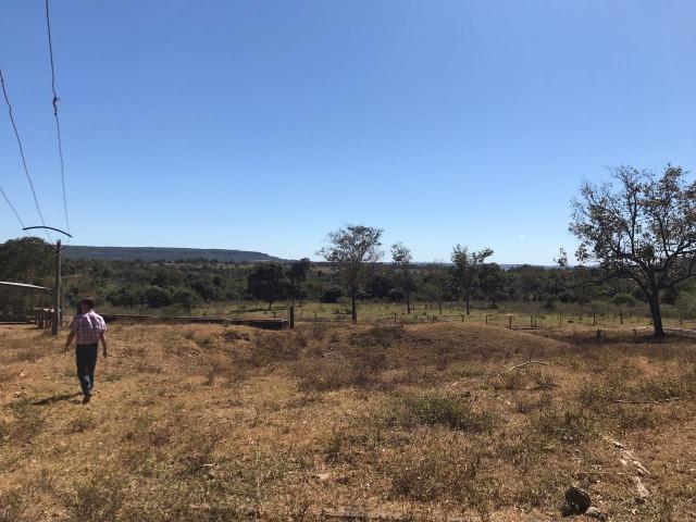 Fazenda Pecuária - 700 Ha - Chapada dos Guimarães - Foto 8