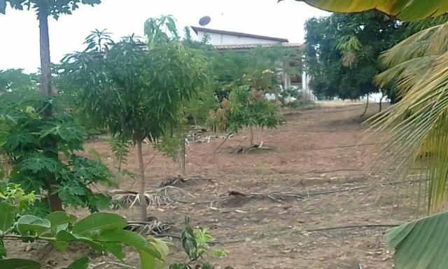Sitio no Povoado de Olhos D'agua de Cima em Jacobina ba - Foto 14