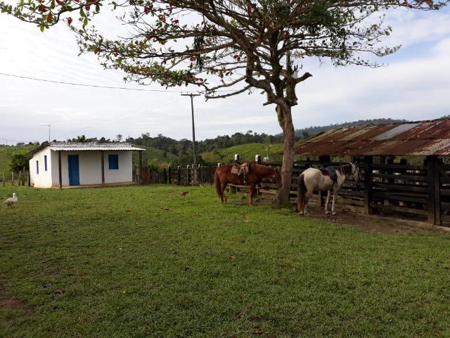 Fazenda em Camacã
