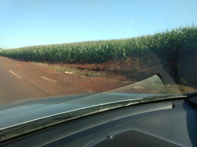Fazenda. no Ms p Arrendamento de Lavouras 2650 há Show de Bola - Foto 5