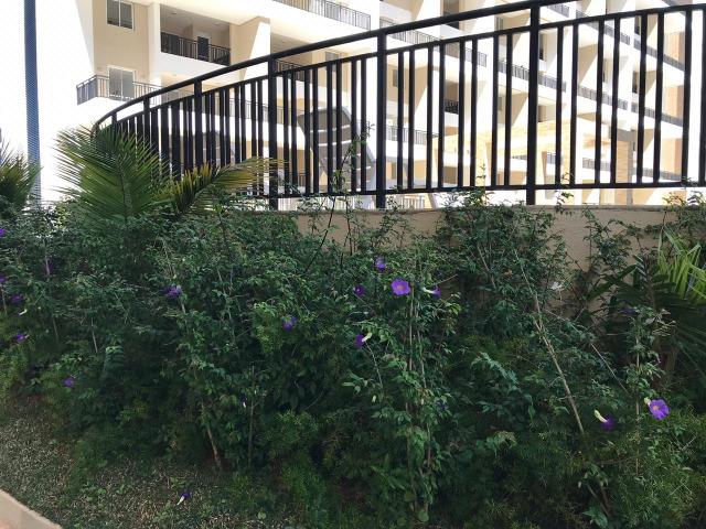 Apartamento de 1qto em Taguatinga, localização privilegiada! Com todas as taxas grátis - Foto 18