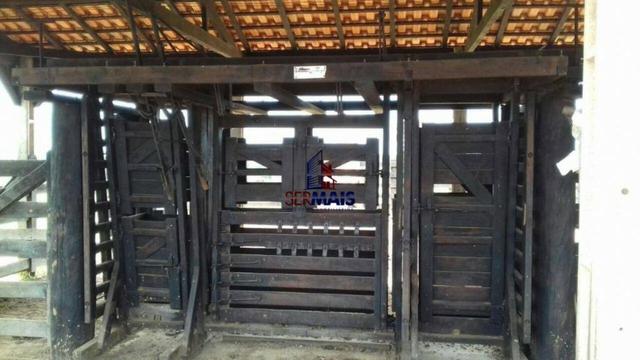 Fazenda à venda, por R$ 14.000.000 - Zona Rural - Cacoal/RO - Foto 7