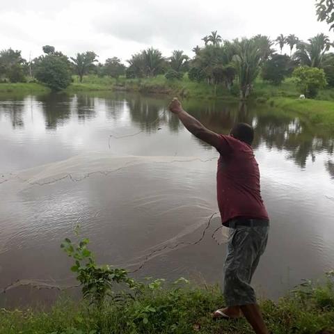 Vendo excelente chácara as margens da ma 216** 30 hectares em Penalva ma - Foto 17