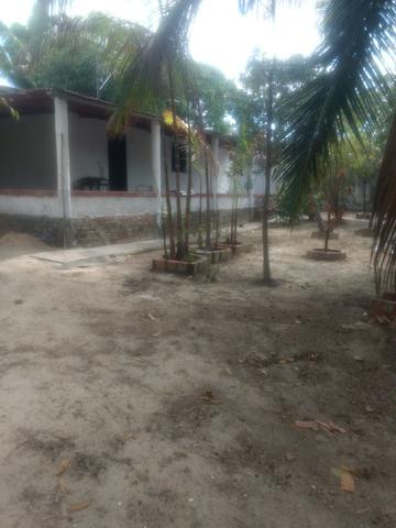 More bem,more em Iparana - Foto 13